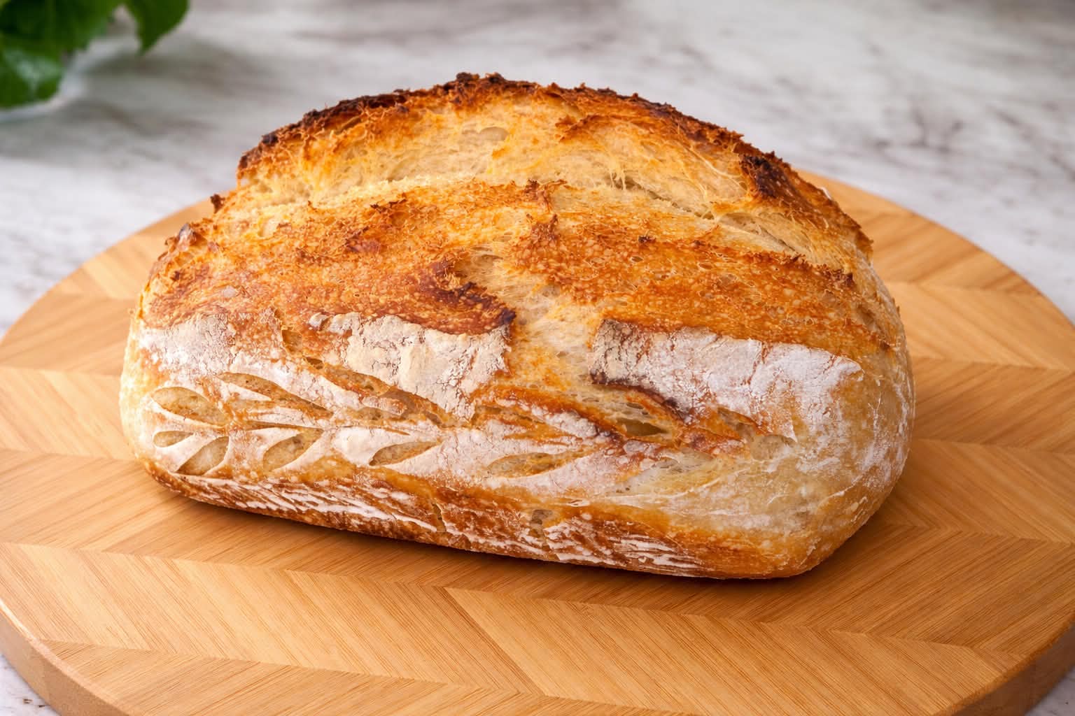 Classic Sourdough Loaf